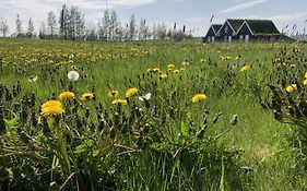 Efri-Vík Bungalows